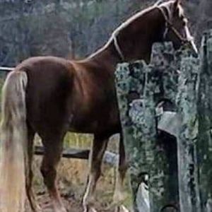 Meet your Posher, Janet